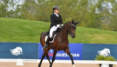 Quintyn Werner Baeumler